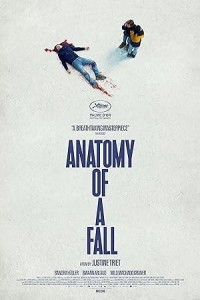 Anatomy of a Fall (2024) Hollywood Hindi Dubbed