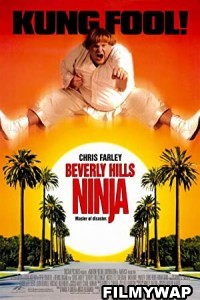 Beverly Hills Ninja (1997) Hindi Dubbed