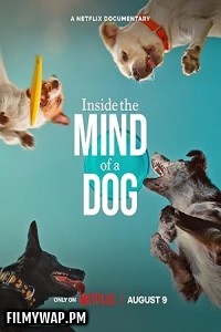 Inside the Mind of a Dog (2024) Hollywood Hindi Dubbed