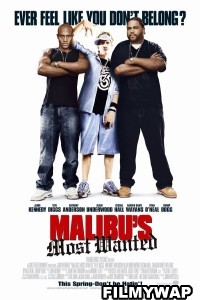 Malibus Most Wanted (2003) Hindi Dubbed