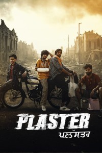 Plaster (2024) Punjabi Web Series