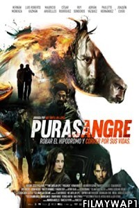 Purasangre (2016) Hindi Dubbed